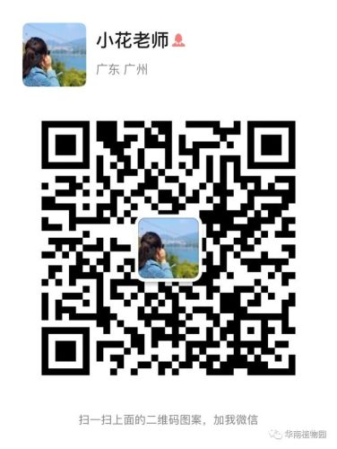 广州华南植物园好玩吗(去华南植物园要预约吗)插图6