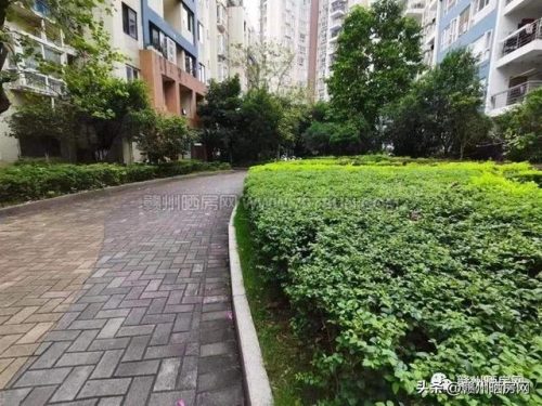 赣州精装豪宅排名前十(赣州豪宅推荐)插图15