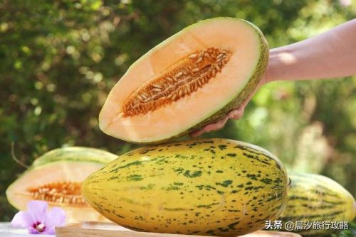 乌鲁木齐旅游攻略(乌鲁木齐美食一条街)插图60