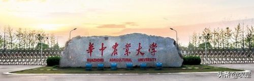 黄鳝养殖专家排名前十(黄鳝人工养殖前景好不好)插图2