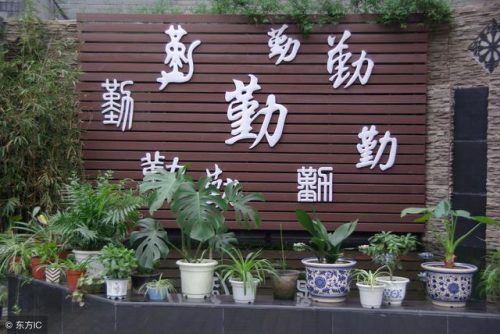 什么是单项式(数字属于单项式吗)插图1