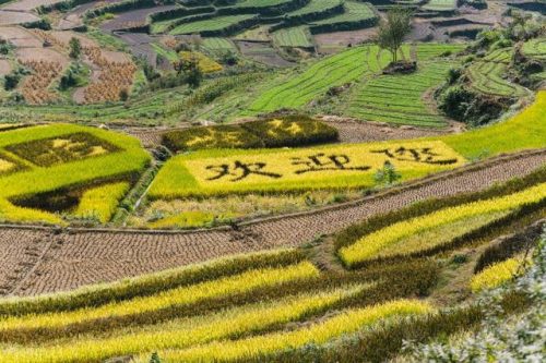 绍兴景点(绍兴一日游最佳地方)插图33