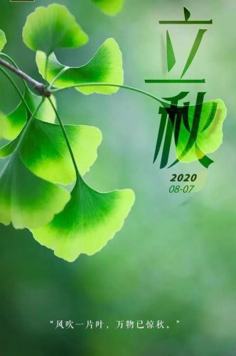立秋图片大全高清(一叶知秋图片)插图49