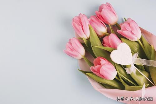 教师节送老师什么花合适(老师最喜欢的十种礼物)插图1