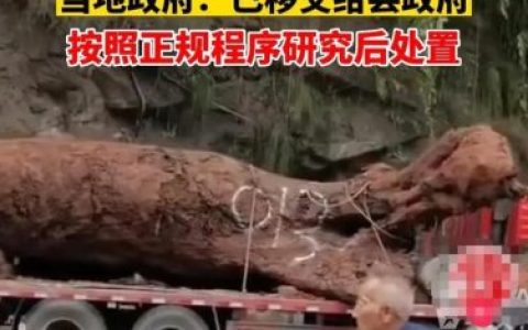 乌木有什么作用(乌木手串)
