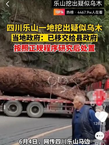 乌木有什么作用(乌木手串)插图