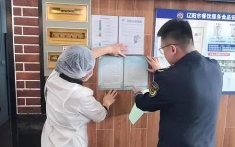 辽阳自助小吃排名前十(辽阳哪有半成品小吃)