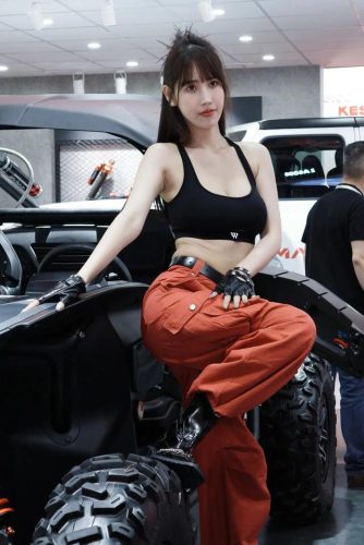 现代车型车模排名前十(上海现代汽车车模)插图61