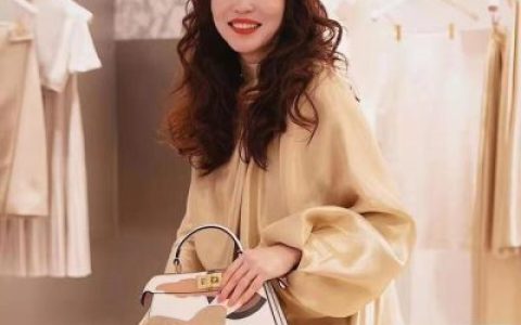 新加坡中年女星排名前十(新加坡介绍)