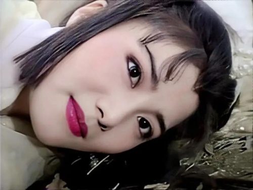 杨丽菁主演的电视剧(乞丐皇帝杨丽青)插图3