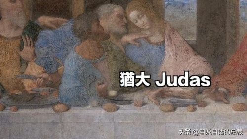达芬奇密码(达芬奇密码小说)插图7
