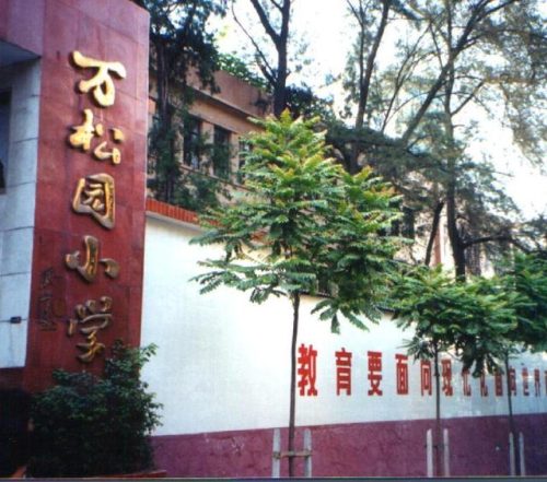 广州好小学排名前十(广州哪个民办小学升学率最好)插图6
