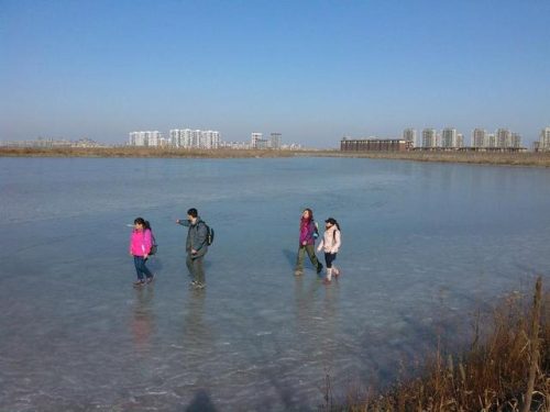 东丽湖度假村(东丽湖度假村值得买吗)插图24