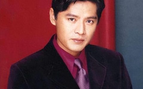 新加坡明星影帝排名前十(上过春晚的新加坡明星)