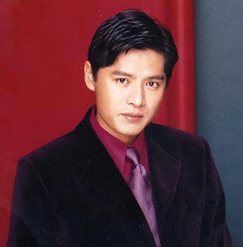 新加坡明星影帝排名前十(上过春晚的新加坡明星)插图