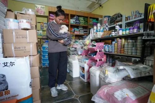 宠物用品店(宠物用品一手货源批发市场)插图5