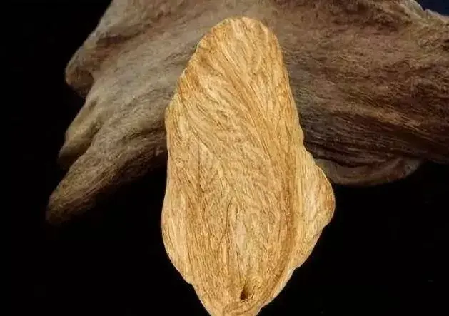 南非名贵木材排名前十(十大名贵木材图片)插图1