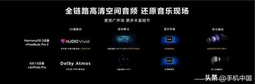 影音伴侣(影音播放器哪个软件最好)插图2