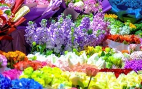 济南推荐花店排名前十(济南花店,济南鲜花速递,送花上门)