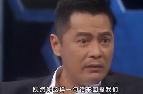 新加坡明星影帝排名前十(上过春晚的新加坡明星)插图13