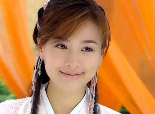 张庭演过的电视剧(张庭主演的电视剧)插图1