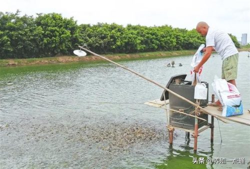 水产饲料(水产饲料排名前十名)插图1
