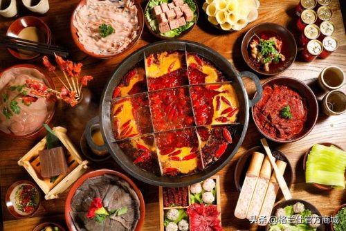 格兰仕电热锅(carote电饭锅说明)插图