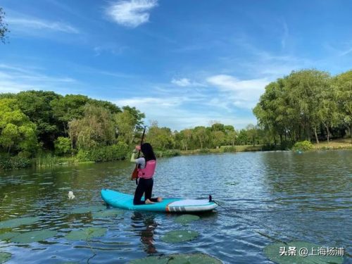 世界露营小屋排名前十(东莞十大露营地点排名)插图14