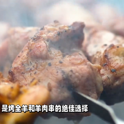 最好品种母羊排名前十(十只母羊一年繁殖多少)插图1