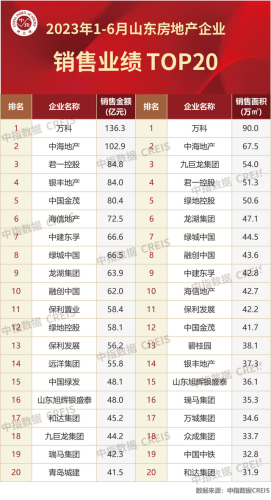 山东住宅公司排名前十(山东最大的房地产开发商)插图