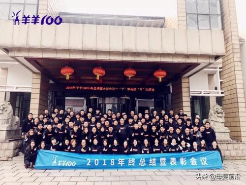 临沂羊奶企业排名前十(衡水有名的羊奶企业)插图1