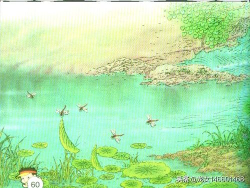 小池古诗的意思(一年级古诗《小池》)插图1