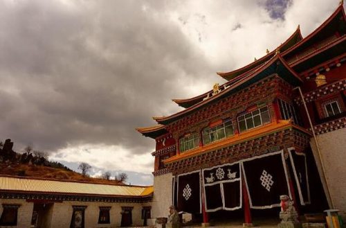 洛克王国灯芯怎么得(洛克王国灯泡专家)插图15