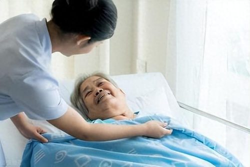 好奇湿纸巾(开市客好奇小森林价格)插图3