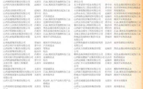 山西本土民企排名前十(山西传统)