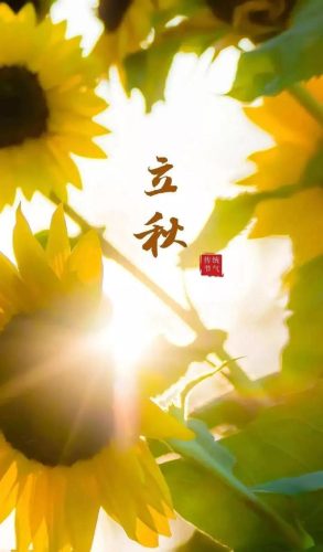 立秋图片大全高清(一叶知秋图片)插图44