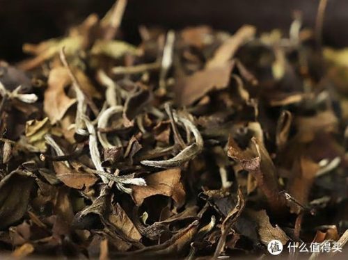 白茶排名前十的茶(哪个牌子的白茶好喝)插图2