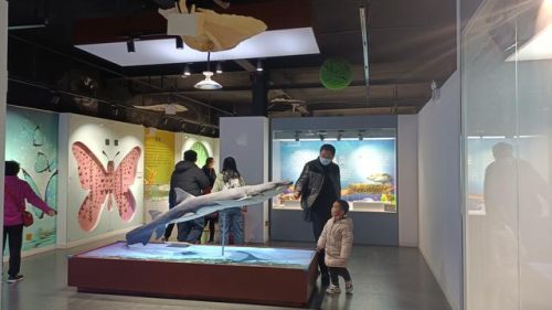 郑州东北景点排名前十(郑州适合老年人的景点)插图11