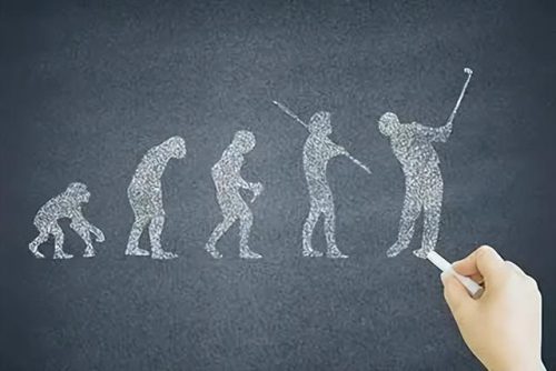 冷门大学排名前十(大学的冷门专业有哪些)插图