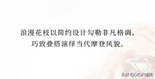 璀璨玫瑰(璀璨之花)插图5