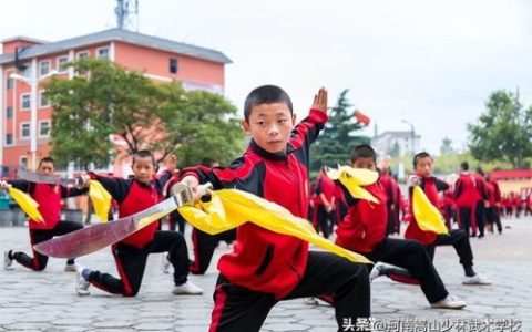 嵩山少林寺武术学院(塔沟武校学费价格表)