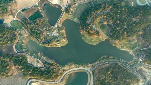 全球森林营地排名前十(森林最大的野人营地在哪)插图1