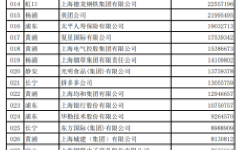 上海公司(上海公司注册)