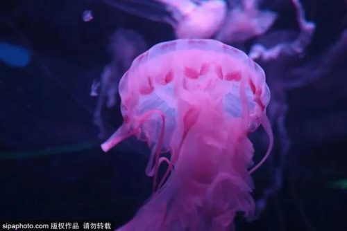 北京低龄乐园排名前十(北京适合老人孩子玩的地方有哪些)插图16