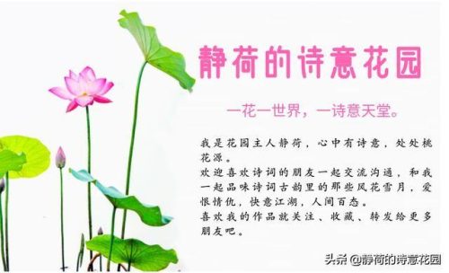 描写兔子的古诗100首(形容兔子的好词好句)插图10