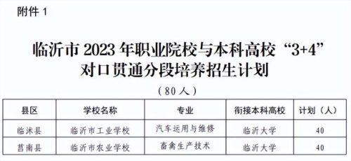 罗庄区职教高考排名前十(职教高考最新政策)插图6