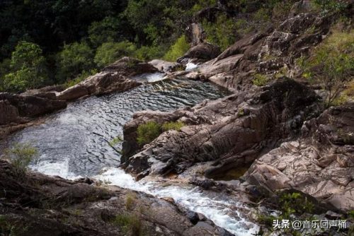 悉尼潜水设施排名前十(悉尼最危险的十个区)插图45