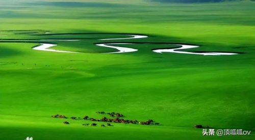 好玩的地方(水上乐园)插图8