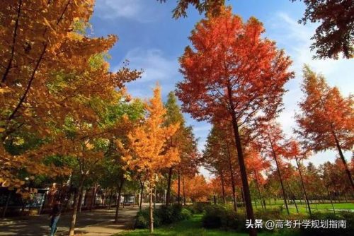 西安信息技术学院(西安信息科技学院怎样)插图4