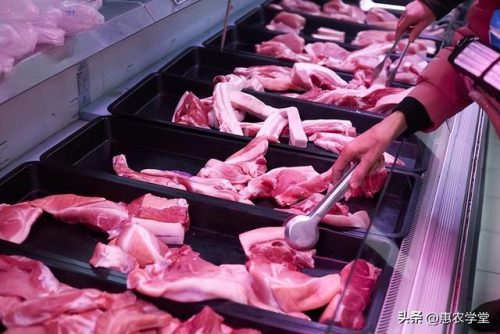 肉类价格(全国冷冻肉价格)插图1